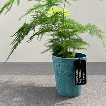 마흘 아스파라거스 나누스 화분 세트, 01 테라조 플라스틱 화분, 1개