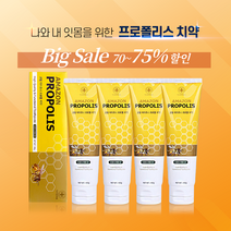 [최신제조] 약국용 잇몸염증 잇몸질환 프리미엄 프로폴리스 치약 6box(24개입) /선물기획세트 /치주염 치석 치태 /잇몸 붓고 입안 헐었을때 염증완화