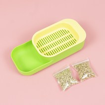 고양이풀 수경재배 캣그라스 키트 고양이풀키우기, 그린