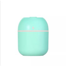 미니 가습기 가정용 사무실 휴대용 대형 스프레이 Humidificador 자동차 공기, 블루2, USB