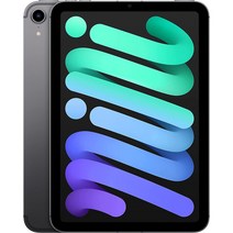 아이패드미니6셀룰러 (오픈) 미국내수용 8.3인치 64GB) 스페이스 그레이