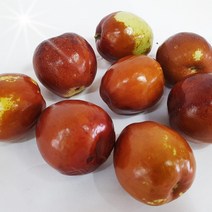 충북보은에서 자란 사과대추 보은생대추 [산지직송으로] 1kg, 보은생대추 24mm~28mm 1kg, 1개