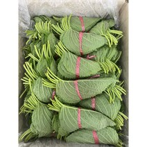 깻잎 깨잎 밀양깻잎 10개입 1박스(50개입), 깻잎 10개입