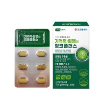 코오롱제약 징코 은행잎추출물 혈행 기억력개선 플라보놀배당체 캠페롤 징코라이드 아연 판토텐산 인지력 두뇌 혈관건강 식약처 기능성인정 뇌영양제 선물 건강기능식품, 3통, 30정