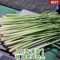 [안전포장] 생 레몬그라스 1kg lemon grass 동남 아시아 식재료 항공입고 향신료 태국 배트남 베트남 음식 특수 야채 채소