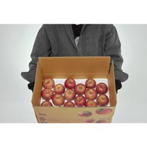 청년농부 못난이 부사사과 5KG, 5kg 소과, 1개