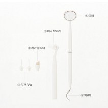 셀프치석제거기 셀프시척제거 집에서치석제거 1p