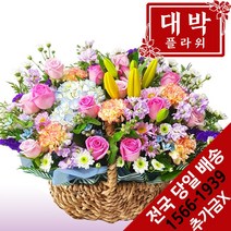 대박플라워 한방에 꽃바구니 생일선물 기념일 출산꽃선물 병문안 꽃배달
