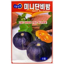 미니단비밤 미니단호박 호박씨앗 5립