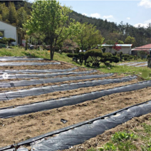 제초매트 잡초 방초 멀칭 pp 매트, 제초매트(1.2cmx200m), 1개