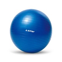 브랜드없음 스타 - 미니 짐볼 45cm 블루 EB210-07 + 펌프/헬스, 선택완료