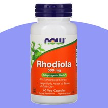 나우 푸드 Now Foods 홍경천 500mg 베지 캡슐 60정 Salidroside, One Color, One Size