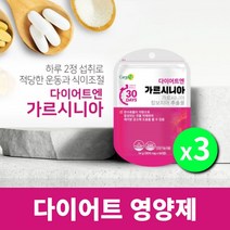 복부 피하 내장 지방 체지방 체중 허리 둘레 감소 분해 에 좋은 먹는 간편한 다이어트 가르니시아 캄보지아 탄수화물 컷팅제, 3BOX(3개월분), 3개