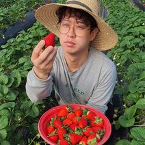 달콤한 논산 딸기 제철 프리미엄 산지직송 죽향 딸기 500g 800g 1kg 1.6kg 2kg, 죽향(특)2kg