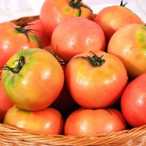 오늘은 플렉스 찰토마토 가정용 4kg, 03_찰토마토 4kg 1~2번