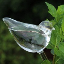 ANYOU 화분자동급수기 식물자동급수기 식물 물주기 유리제품, S(62*97*177MM), 8종 세트