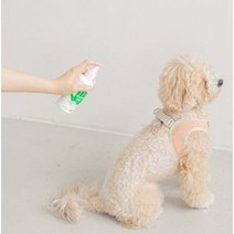바잇미 헤잇미 강아지 해충 진드기 방지 스프레이, 200ml, 2개