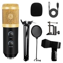 마이크 Arm E20 콘덴서가 있는 USB 마이크 링 라이트 스튜디오 키트가 있는 컴퓨터 마이크 스탠드 게임용 Youtube 비디오 레코드 2021 업그레이드, 협력사, B-2