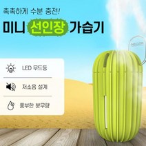 대신상사 네오투엠 무드등 선인장 가습기 USB 미니가습기, 네오투엠 838선인장가습기 라이트그린