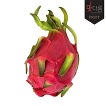 [맛다름] [베트남] 용과 2입_아이스박스(개당 450~500g내외), 상세 설명 참조