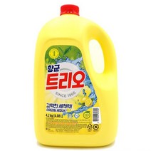 잔류농약제거 차아염소산나트륨 소독제 과일세정제 4L 주방세제, 기본