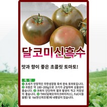 달코미신흑수 토마토 씨앗 토마토 씨 종자 10립, 단품
