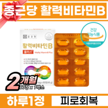 종근당 비타민B 컴플렉스 고함량 수용성 대용량 비타민비 피로회복 만성피로 비오틴 비타민B 부족 결핍 보충 에너지생성 판토텐산 나이아신 엽산 비타민비 복합체 추천, 1박스, 60정