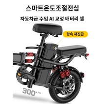 배달용 400와트 20Ah 48V 출퇴근용전기자전거 고성능, [플래그십] 프레임-배터리 모터 옵션(전 차종 7일 시, 0Ah