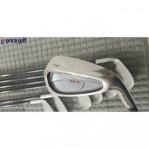 브리지스톤 초심자용 SHOTRON ES-2 아이언 풀세트