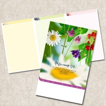 주보용지 3단 주보 교회 예배 주보인쇄 기성 디자인 칼라 청년부 주보 제작 기독교용품, EW-46