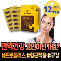 프로폴리스5000 면역력높이는영양제 향균 항균제 항염 60대 임산부 이마트 남녀 레드 PROPOLIS 입병원인 시니어 인터페론 어린이프로폴리스 부모님선물 몸속 입안이헐었을때 혀통증