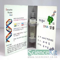 ¶⊙핫딜_A+ 조별 단체 SC 실험교구 사이언스키트 DNA추출1 식물세포 (Yz♩‡C) 4인용, ☞ 해당 상품 선택하기_GuruM™