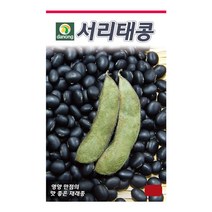 다농 서리태콩 씨앗 50g