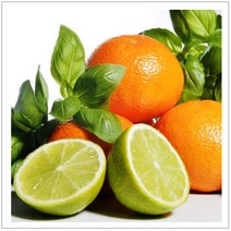 [키트 팩토리] 프래그런스 향오리 샘플(1ml), 19.헤이즐넛