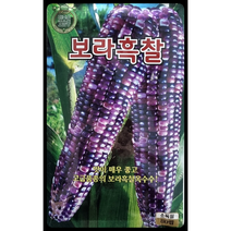 보라흑찰옥수수씨앗80립 옥수수씨앗 고급품종 KS종묘, 1개