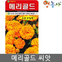 메리골드 씨앗 20립, 단품