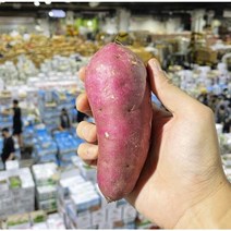 경매직송 꿀 고구마, 알뜰형, 특상, 3kg