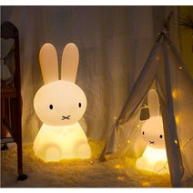 해외구매 LED 미피조명 토끼램프 수유등 무드등 수면등 무지개 아이방 램프 해외구매, 곰돌이, 50cm, 무지개 모델(16색)