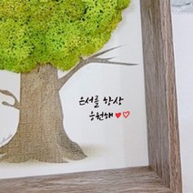 [스마일컴퍼니] 나무모스액자 스칸디아모스 공기정화식물 천연이끼, 02_나무모스액자_스프링그린_고객문구>배송메세지” class=”wr-img”></a></div>
</p></div>
</p></div>
</p></div>
<div class=