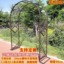 정원 아치 게이트 철제 문 마당 전원주택 가드닝, 초콜릿  1.4x2.3m