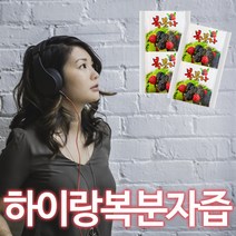 약재용 복분자즙 100포, 50개, 80ml