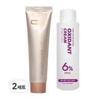 에비뉴쉬에뜨 앱솔루트 컬러링 크림 염색제 120g + 산화제 100ml, 18개, 10CN밝은은회색