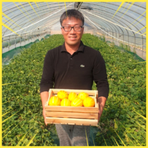 꼬마 성주참외농장 상주참외 마이달데이 16브릭스 못난이, 상품, 10kg, 꼬마과