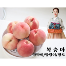의성 맛있는 고당도 황도 백도 딱딱이 말랑이 부드러운 복숭아4kg, 11~12과@