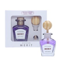 아로마메이트 메리트차량용디퓨저 50ml 1+1, 일랑일랑
