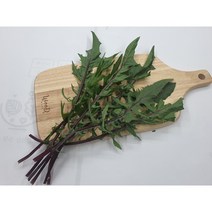[특급] 싱싱한 적치커리 500g 1kg, 적치커리500g