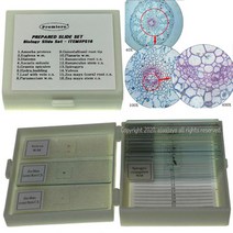 프레파라트 표본 16종 중학생 교구 곤충표본 곤충모형, ★★★★★, 본문참조