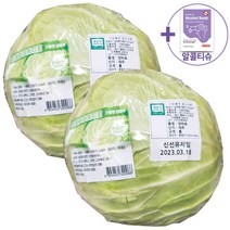코스트코 친환경 양배추 1통 X 2 (총 2통) 원산지 국내산 아이스박스포장 + 더메이런알콜스왑