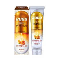 2080 K 진지발리스 프로폴리스 치약, 1개, 120g