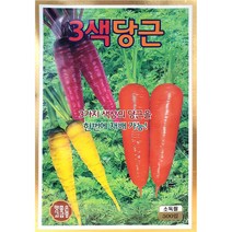삼색당근 김장채소 김장채소씨앗 당근씨앗 500립 KS 23년, 1개